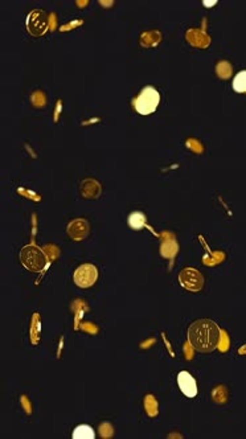 Falling Golden Coins Animation for Financial Projects