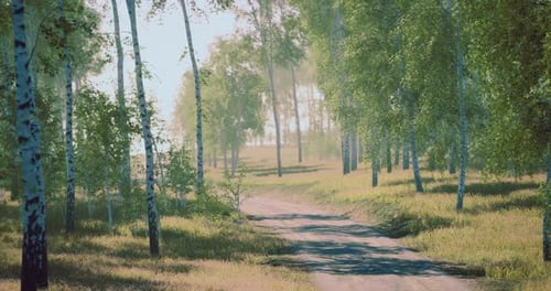Sendero panorámico de tierra que serpentea a través de un bosque sereno durante el día