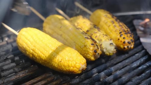 Closeup of Large Yellow Corn Cobs Grilling on an Outdoor Hot Grill Chef Uses Tongs to Carefully Turn