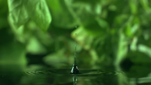 Macro Shot of Organic Serum Drop is Falling Crystal Clear Water Splash Concept of Wellness Beauty