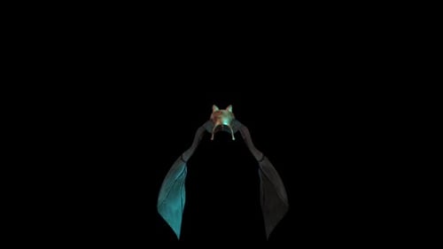Stilisierte Fledermaus, die in der Dunkelheit fliegt