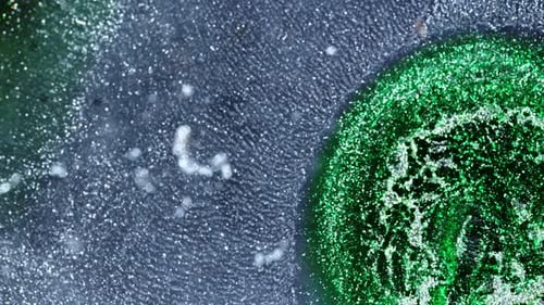 Vibrant Green and White Ink Mixing in Swirl