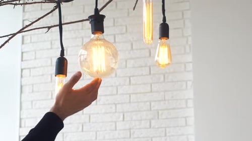 Electrician Installing and Testing Light Bulbs on Decorative Branches