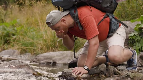 Male Hiker Drinking Water From Creek in Forest