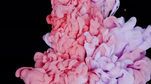 Pink and Purple Paint Swirls on Black