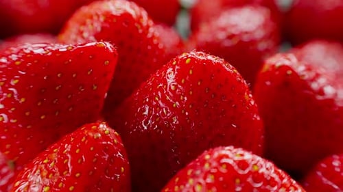 Strawberries Summer Harvest