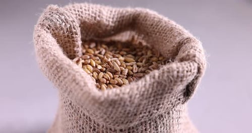 Grain Sack Close Up with Wooden Spoon