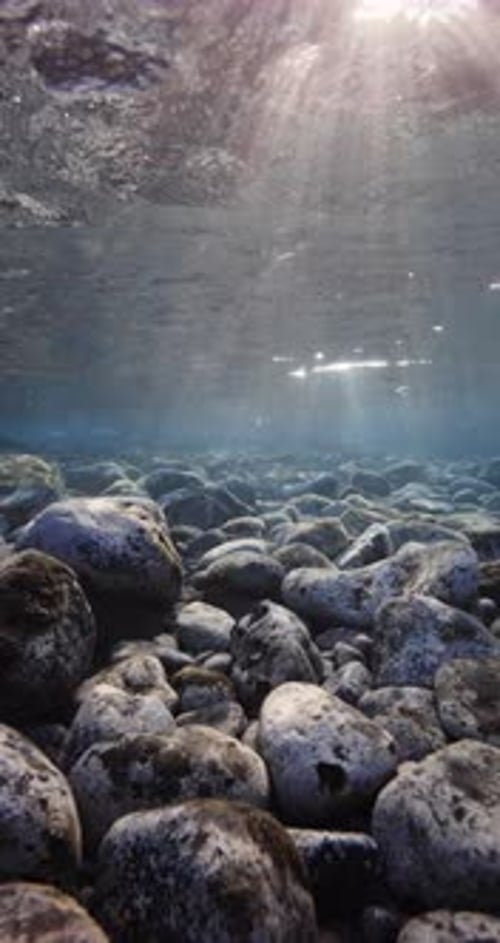 Underwater Scene with Stones Sea Bottom and Sun Rays in Ocean Vertical Background