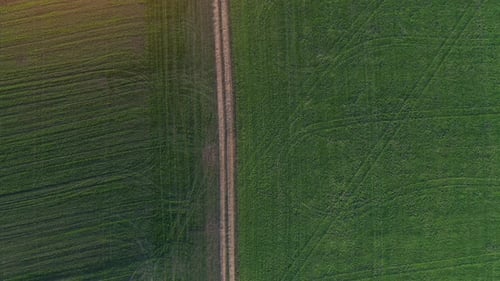 Village roads. Aerial top view of beautiful agricultural field at daytime. Rural landscape
