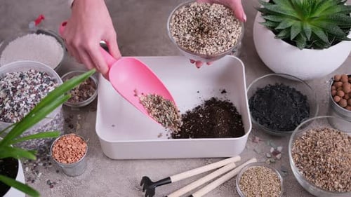 Home Gardening and Plant Transplantation Woman Mixing Soil Substrate with Hands