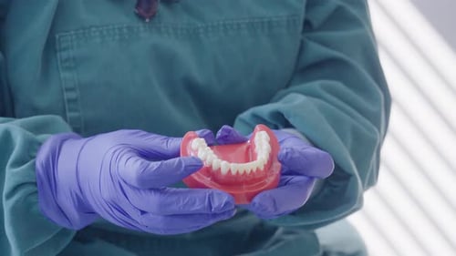 Dentiste en gros plan montrant l'hygiène des dents