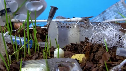 Medical Waste Pile Lying on the Ground in Forest Where Fresh Green Grass is Growing in Timelapse