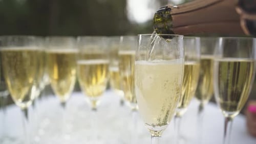 Champagne Pouring into Flute Glasses at Event