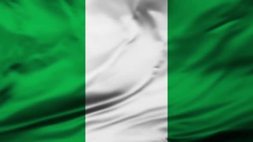 Realistic Waving Nigeria National Flag Vertical Animation