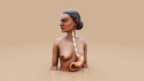 Conceptual 3D animation of a woman showing stomach anatomy