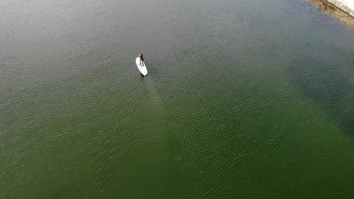 Drone footage (slow) of a SUP-boarder paddling on green water