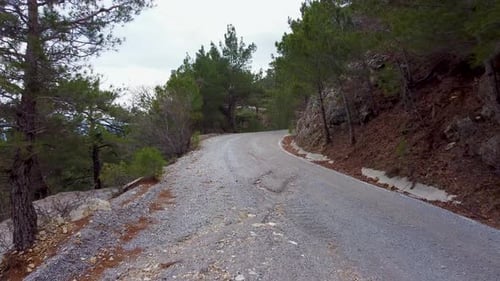 Die Straße zwischen den Bäumen auf dem Kaz Mountain 4K