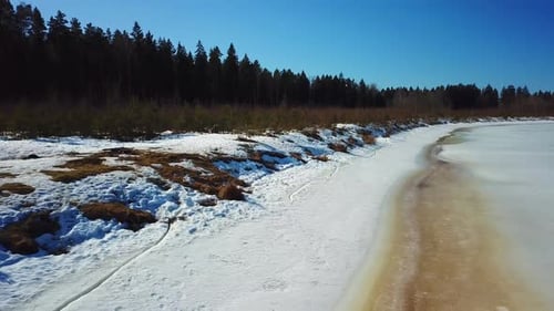Spring, Forest And Western Dvina River 31