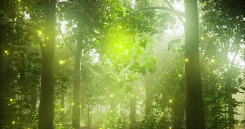 Forêt enchanteresse remplie de lumières rougeoyantes au crépuscule