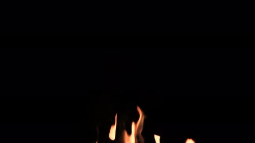 Fire flame