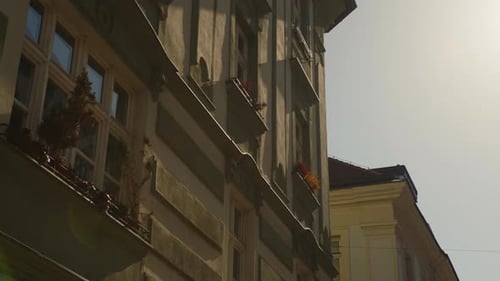 Old European Building With Plants At Sunset
