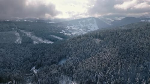 Aerial View Winter Forest Landscape in Frozen Countryside Nature
