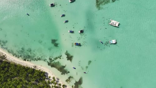 Anchored Catamaran Boats Over Shallow Water Beach In Saona Island, Dominican Republic. Aerial Drone