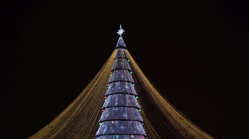 Illuminated Christmas Tree with Colorful Lights at Night