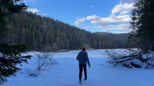 A Man Walks Through Deep Snow in a Winter Forest Surrounded By Coniferous Trees