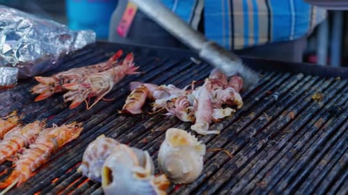 Person serving fresh squid and mollusks on plate at Asian street market
