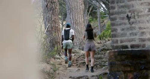 Back, hiking and couple in woods, fitness and relationship with footpath, wellness and nature
