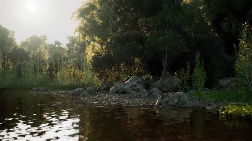 Serene Riverbank Landscape with Golden Sunlight
