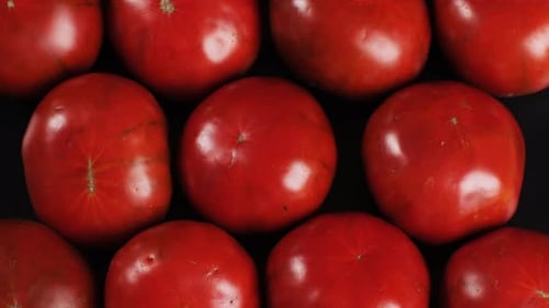 Tomates orgánicos coloridos, mezcla de tomates, fondo de varias variedades de tomates en rodajas (vista superior)