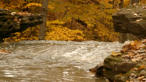 Der Bach fließt schnell im herbstgelben Wald, ein kleiner Wasserfall mit kristallklarem Wasser fällt von t