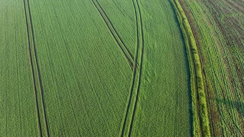 Aerial drone footage flying over a farmers field in the winter time, showing tractor tracks