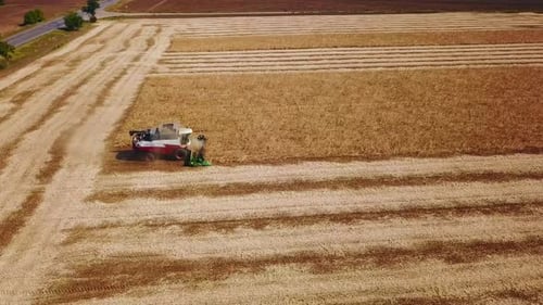 Aerial Drone View Combine Harvesters Working in Soybean Field on Sunset Harvesting Machine Driver