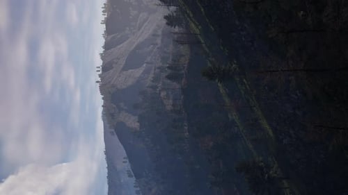 Vertical Video of Misty Foggy Mountain Landscape with Fir Forest