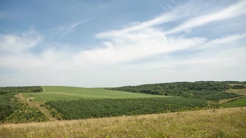 Rolling Hills and Fields on a Sunny Day