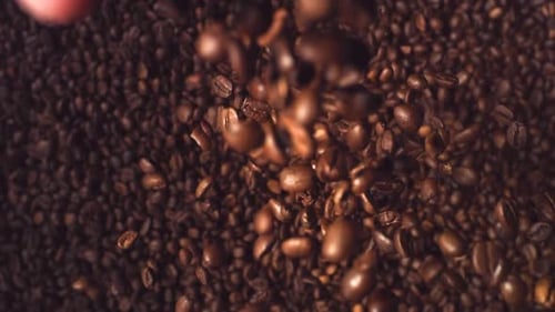 Kaffeebohnen, Superzeitlupe, von oben nach unten fallende Aufnahme. Hochgeschwindigkeitskaffeebohnen fliegen