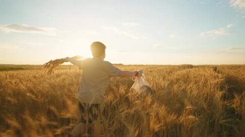 Happy Childhood in Countryside Little Farmer Son is Running on Rye Field in Summer Boy is Carrying