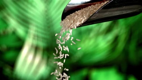 Uncooked Rice Falls From the Scoop Filmed on a Highspeed Camera at 1000 Fps