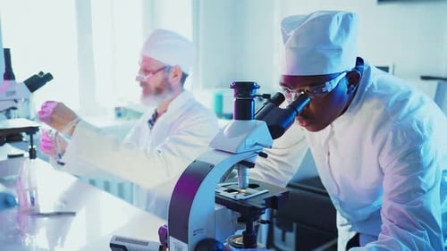 Scientists Working in Laboratory with Microscopes and Test Tubes