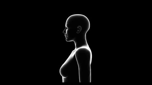 Minimalist 3D Human Anatomy Rotation Loop