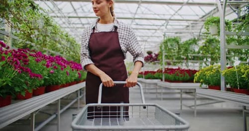 Workers tending plants in flower greenhouse