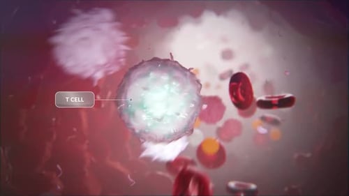 Animated T-Cell and Blood Cells Scientific Visualization