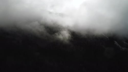Clouds Covering Mountain Forest On Olympic Peninsula, Washington State. aerial shot