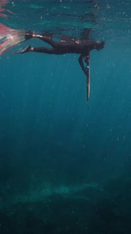 Sea Spearfishing Man Spearfishes in the Sea with Speargun and Slowly Swims in Search of Target