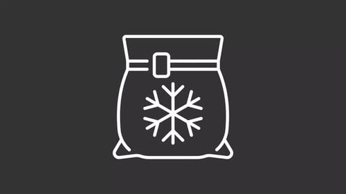 Animated Freezer Bag with Snowflake Line Icon