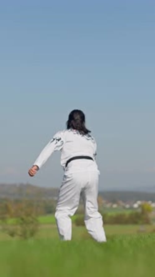 Martial Arts Expert Performs Flying Side Kick