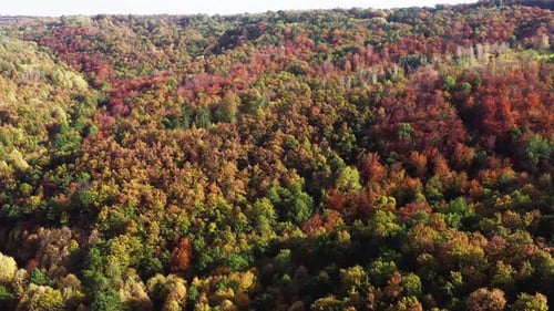 Bulgarischer Herbstwald, natürliche Schönheit, bunter Drohnenflug